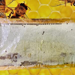 Natural Honey With Comb [<<=2.0kg] [ Madu Lebah Asli dengan Sarang Original]